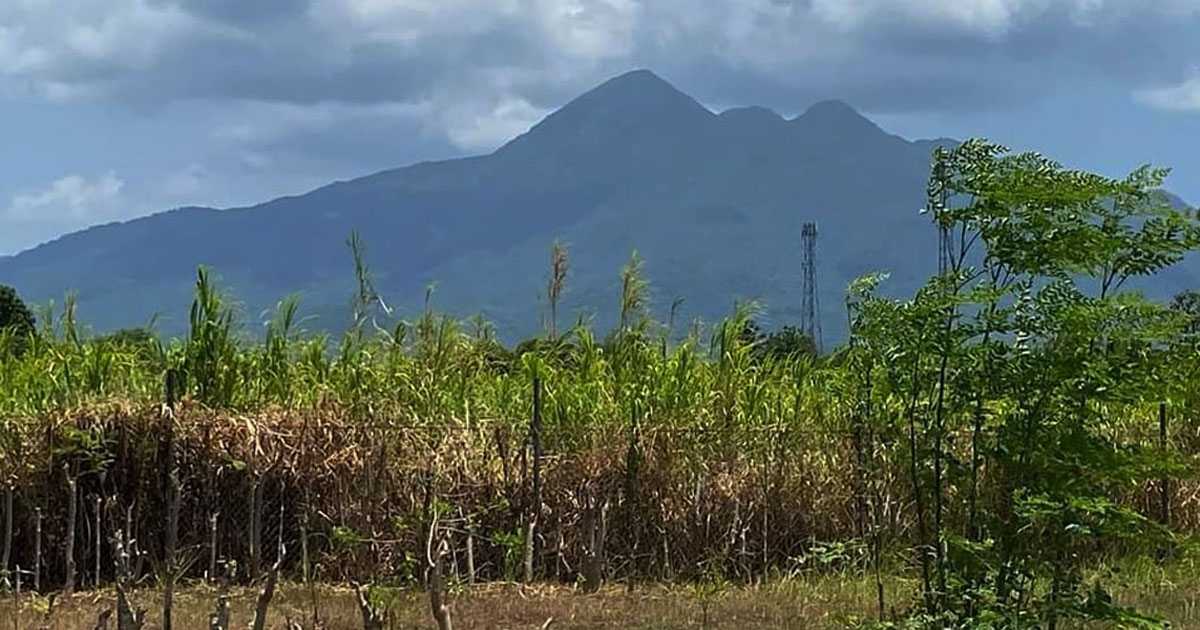 Ces Drilon and Ricky Carandang’s dream farm) come true • l!fe